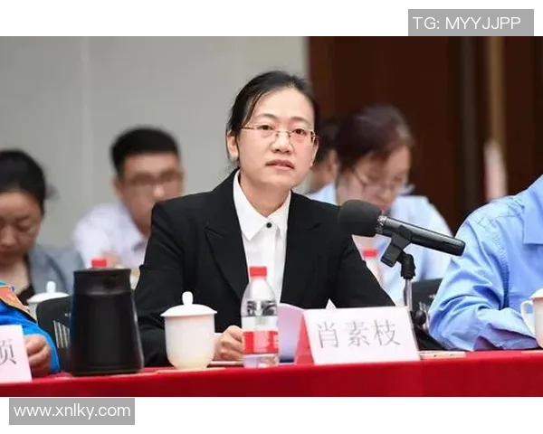 朱俊龙的成长之路：从青涩少年到职场精英的奋斗故事