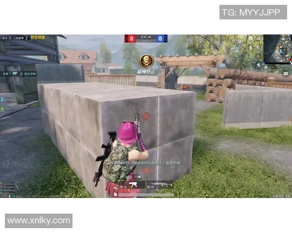 和平精英热议焦点FPX技术争议引发玩家热烈讨论与反思