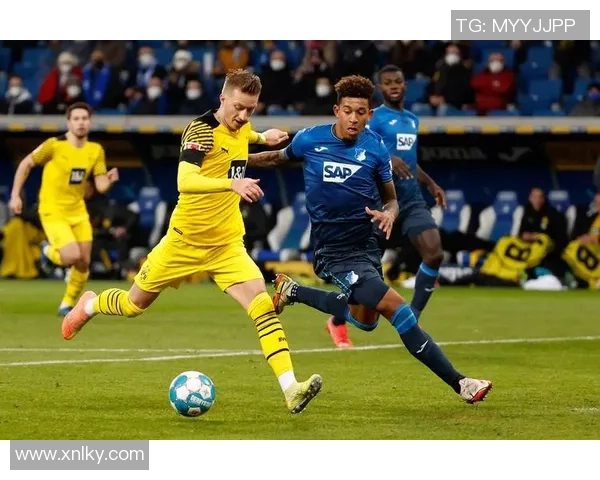 德甲精彩对决霍芬海姆迎战强敌拜仁慕尼黑直播盛况不容错过