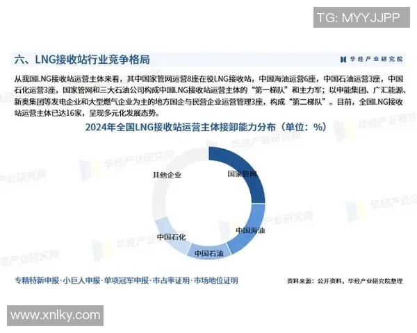 独家分析LNG配合方式的优劣对比及市场前景探讨MBA